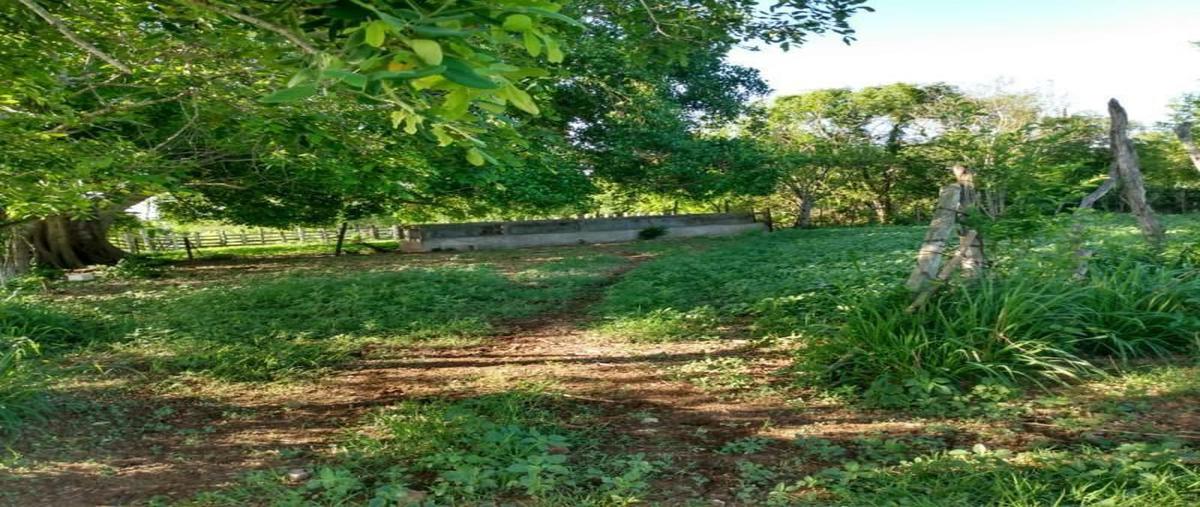 Foto de terreno habitacional en venta en aldama, aldama, tamaulipas , aldama, aldama, tamaulipas, 0 No. 04