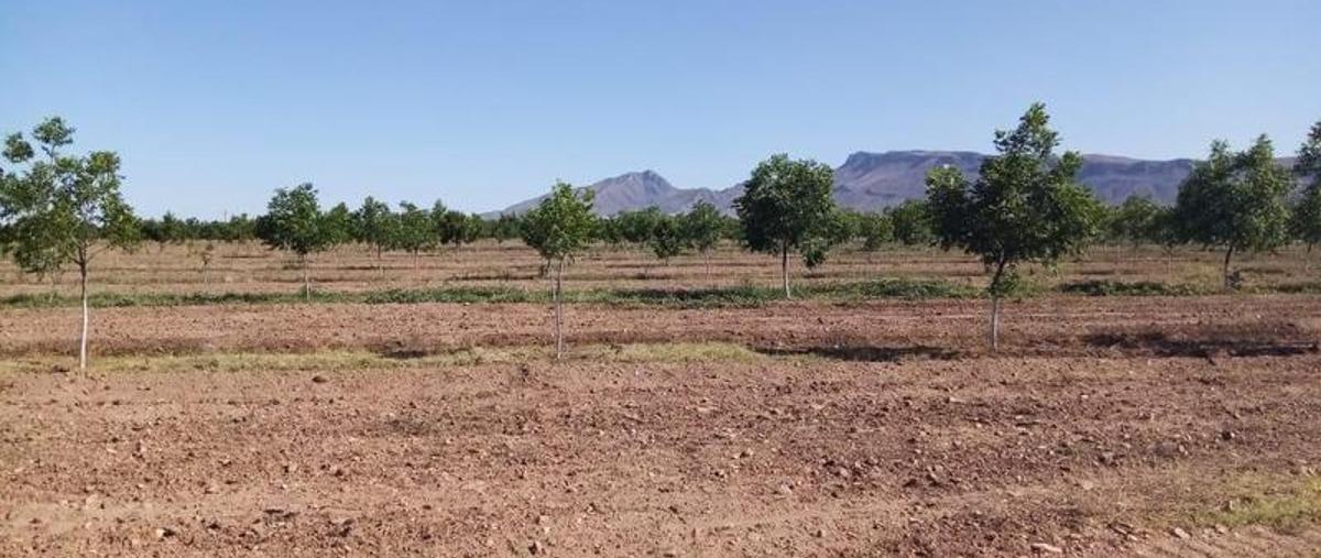 Foto de terreno habitacional en venta en  , aldama centro, aldama, chihuahua, 0 No. 04