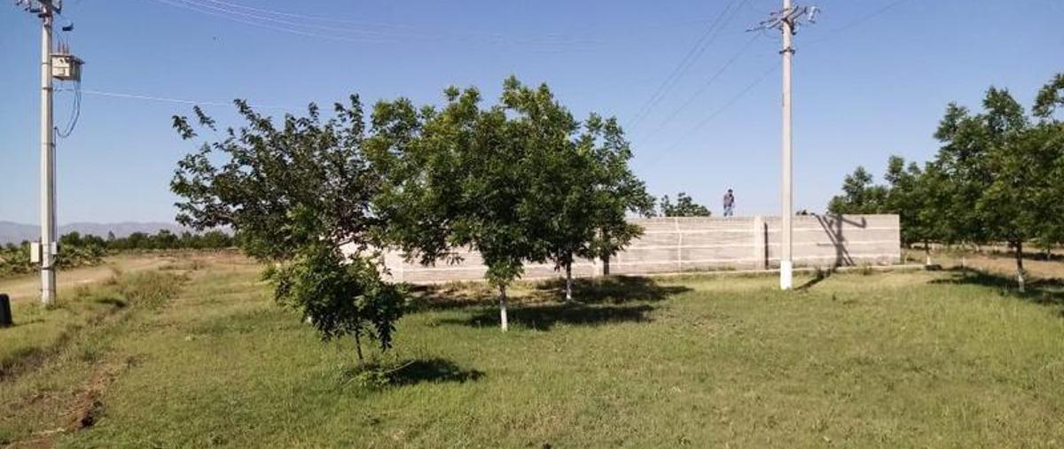 Foto de terreno habitacional en venta en  , aldama centro, aldama, chihuahua, 0 No. 05