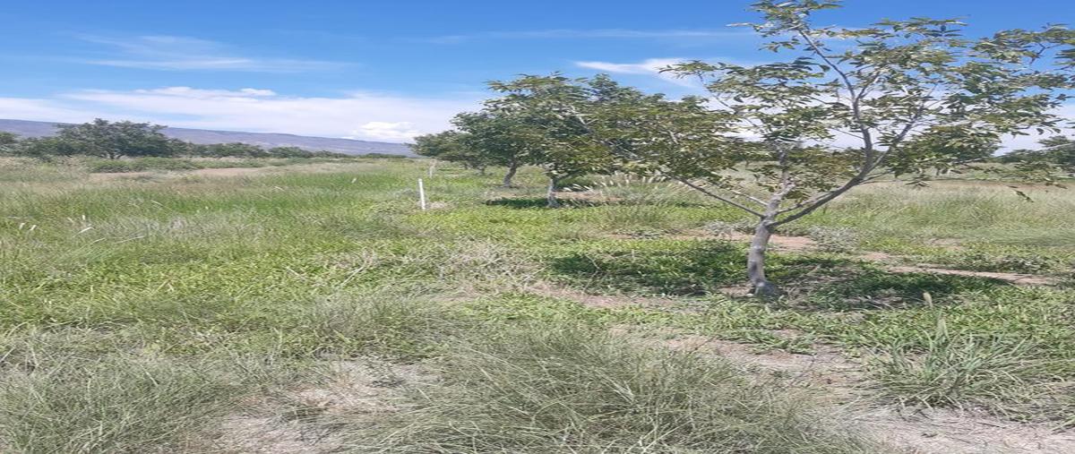 Foto de rancho en venta en  , aldama centro, aldama, chihuahua, 0 No. 04