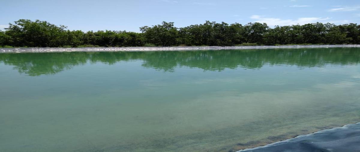 Foto de rancho en , aldama centro, aldama, chihuahua, 0 foto 01 Foto de rancho en venta en , aldama centro, aldama, chihuahua, 0 No. 01