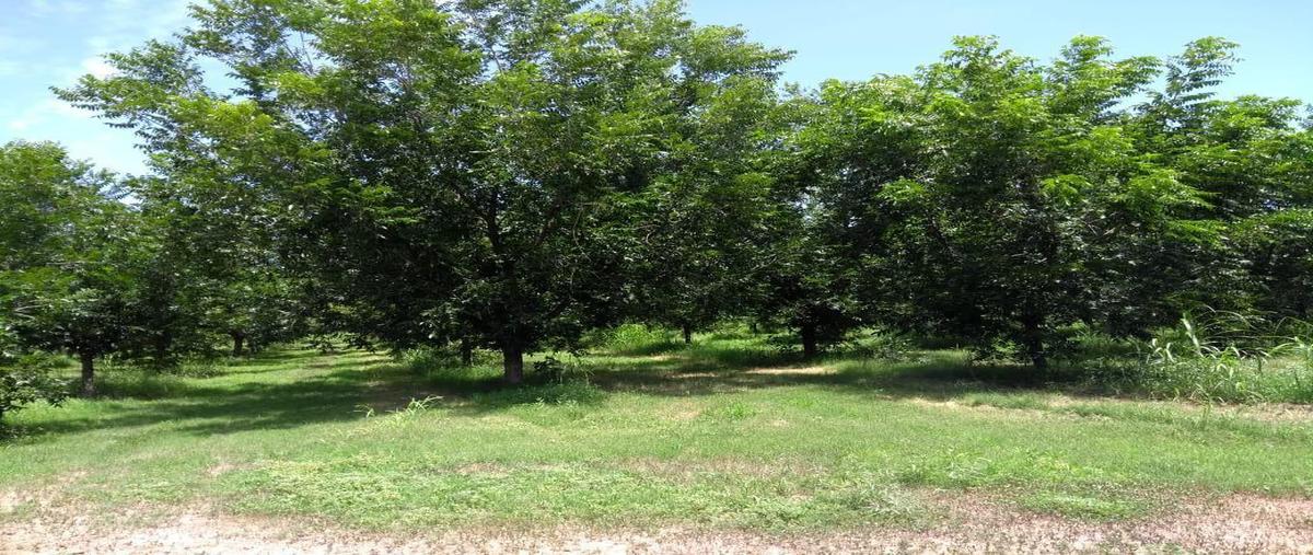 Foto de rancho en , aldama centro, aldama, chihuahua, 0 foto 03 Foto de rancho en venta en , aldama centro, aldama, chihuahua, 0 No. 03