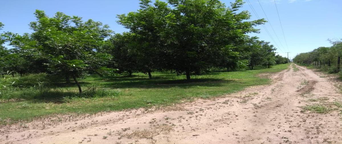 Foto de rancho en , aldama centro, aldama, chihuahua, 0 foto 04 Foto de rancho en venta en , aldama centro, aldama, chihuahua, 0 No. 04