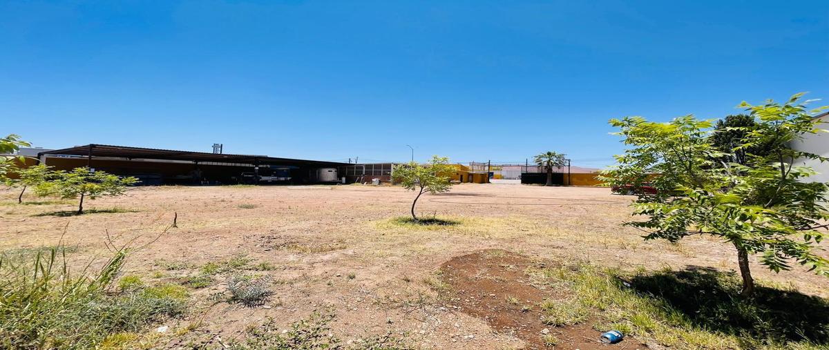 Foto de local en venta en  , aldama centro, aldama, chihuahua, 0 No. 05
