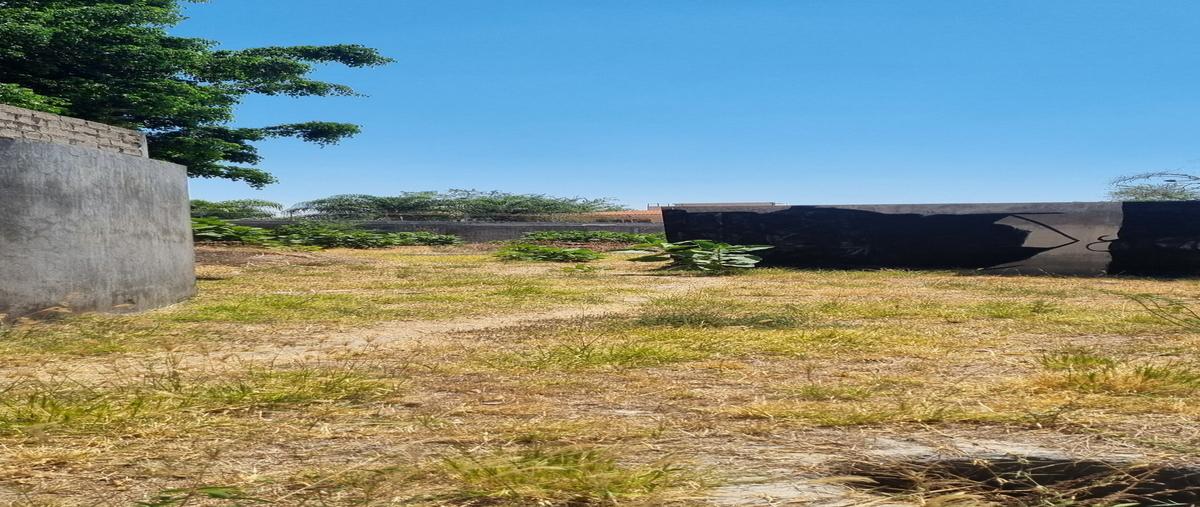 Foto de terreno habitacional en renta en aldama , ciudad bugambilia, zapopan, jalisco, 0 No. 05