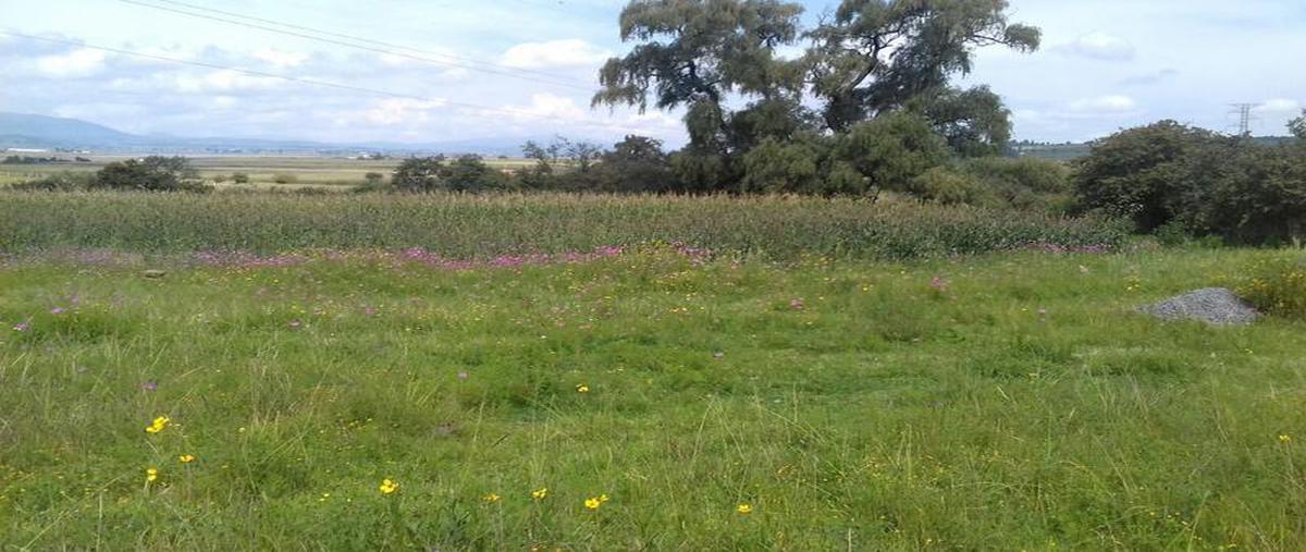 Foto de casa en venta en  , aldama, jilotepec, méxico, 0 No. 03