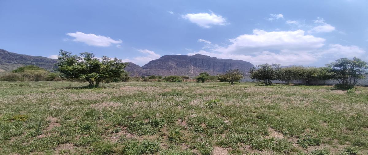Foto de terreno habitacional en venta en aldama , los ciruelos, tlayacapan, morelos, 29492801 No. 03
