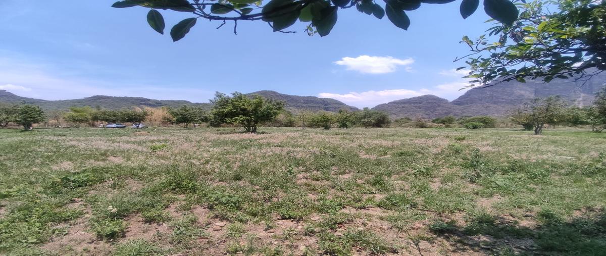 Foto de terreno habitacional en venta en aldama , los ciruelos, tlayacapan, morelos, 29492801 No. 04