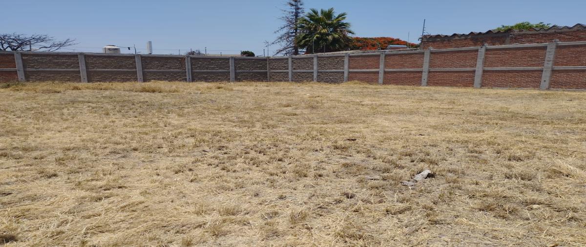 Foto de terreno comercial en renta en aldama , salamanca centro, salamanca, guanajuato, 28153118 No. 04