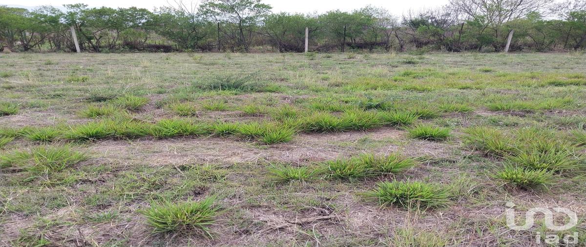 Foto de terreno habitacional en aldama , san bartolo coyotepec, san bartolo coyotepec, oaxaca, 31421987 foto 02 Foto de terreno habitacional en venta en aldama , san bartolo coyotepec, san bartolo coyotepec, oaxaca, 31421987 No. 02