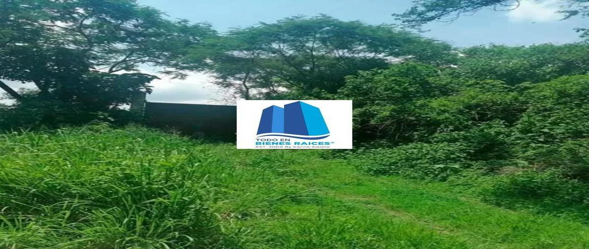 Foto de terreno habitacional en venta en aldama , tlayacapan centro, tlayacapan, morelos, 0 No. 03