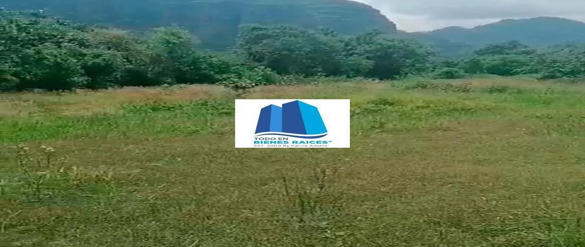 Foto de terreno habitacional en venta en aldama , tlayacapan centro, tlayacapan, morelos, 0 No. 04