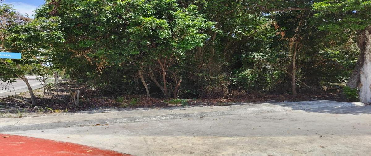 Foto de terreno habitacional en venta en  , aldea civitas, puerto morelos, quintana roo, 31103799 No. 03