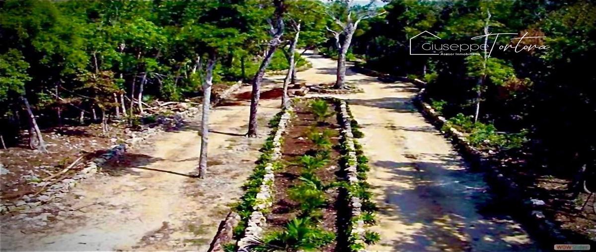Foto de terreno habitacional en venta en aldea coral , ciudad chemuyil, tulum, quintana roo, 28172339 No. 03