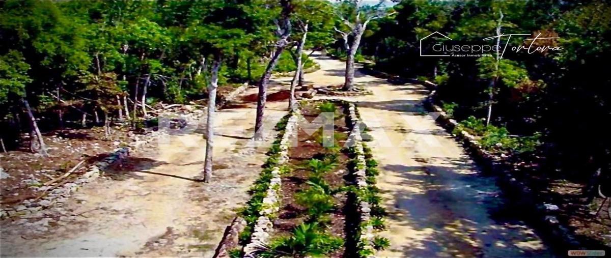 Foto de terreno habitacional en aldea coral , ciudad chemuyil, tulum, quintana roo, 0 foto 03 Foto de terreno habitacional en venta en aldea coral , ciudad chemuyil, tulum, quintana roo, 0 No. 03