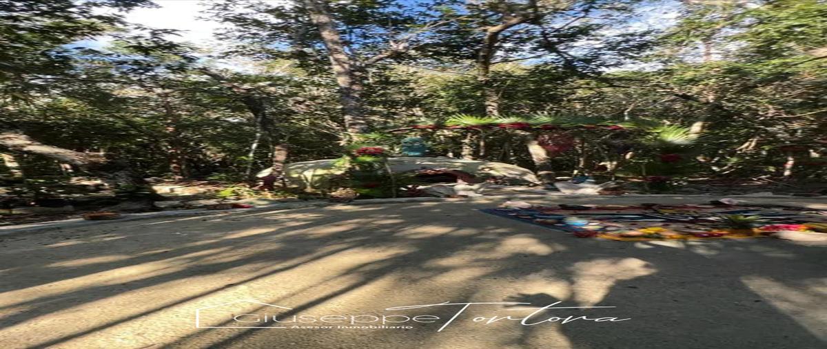 Foto de terreno habitacional en venta en aldea coral , ciudad chemuyil, tulum, quintana roo, 28172339 No. 04