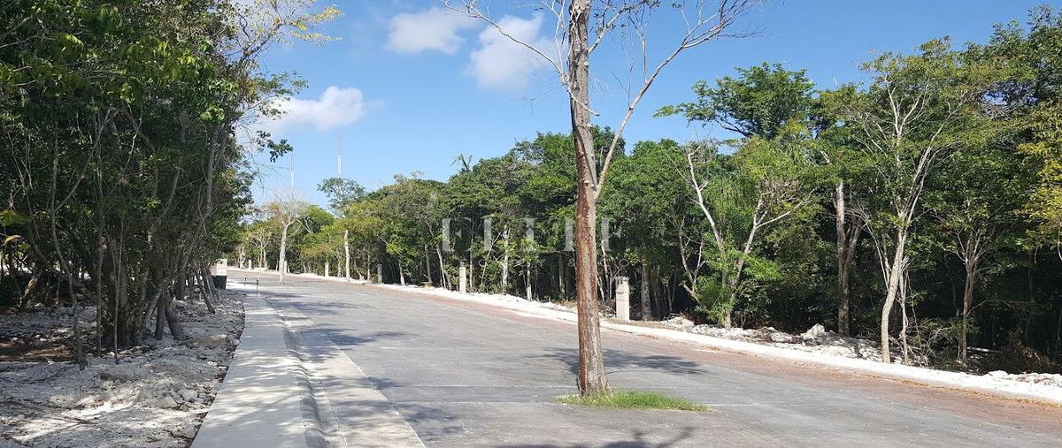 Foto de terreno habitacional en venta en aldea ha , puerto morelos, puerto morelos, quintana roo, 30042284 No. 04