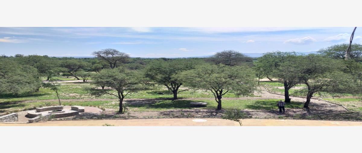 Foto de terreno habitacional en venta en aldea sepúlveda terreno, sepúlveda, lagos de moreno, jalisco, 0 No. 05