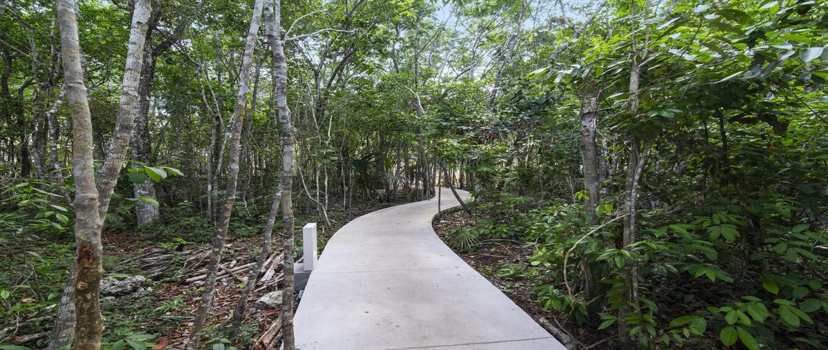 Foto de casa en , aldea tulum, tulum, quintana roo, 16255953 foto 04 Foto de casa en venta en , aldea tulum, tulum, quintana roo, 16255953 No. 04