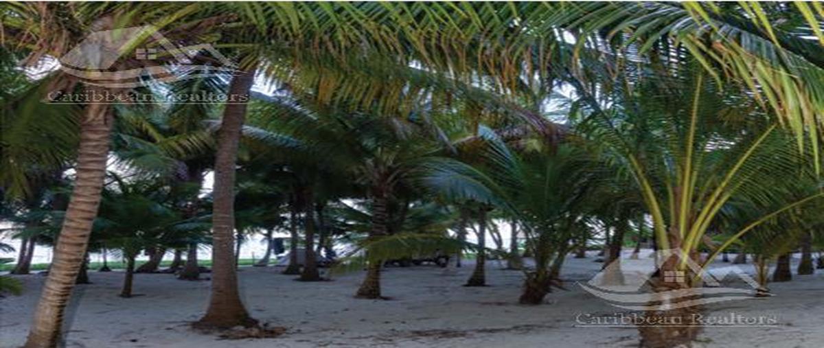 Foto de terreno habitacional en venta en  , aldea tulum, tulum, quintana roo, 24580053 No. 03