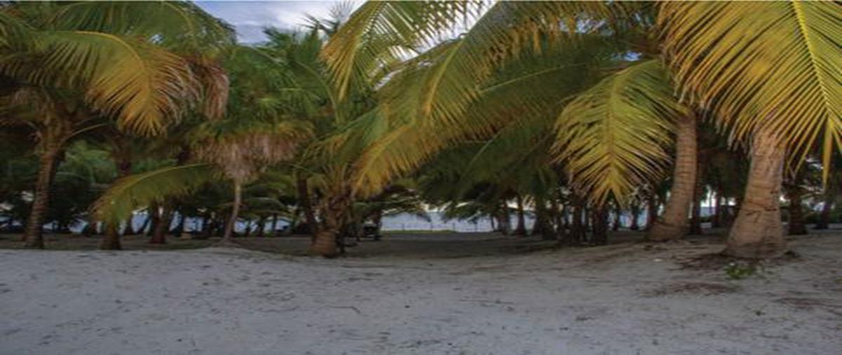 Foto de terreno habitacional en venta en  , aldea tulum, tulum, quintana roo, 24580053 No. 04