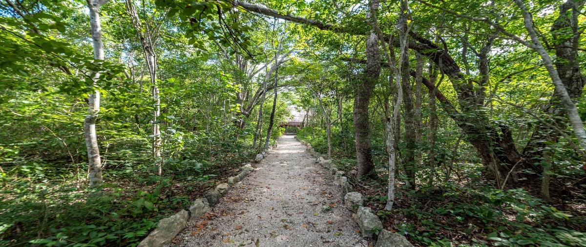 Foto de departamento en venta en  , aldea tulum, tulum, quintana roo, 26458635 No. 04