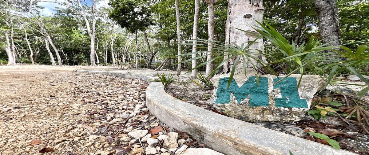Foto de terreno habitacional en venta en  , aldea tulum, tulum, quintana roo, 26718158 No. 05