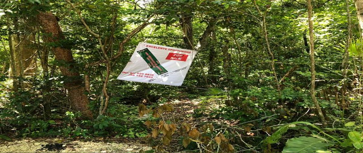Foto de terreno habitacional en venta en  , aldea tulum, tulum, quintana roo, 27001715 No. 05