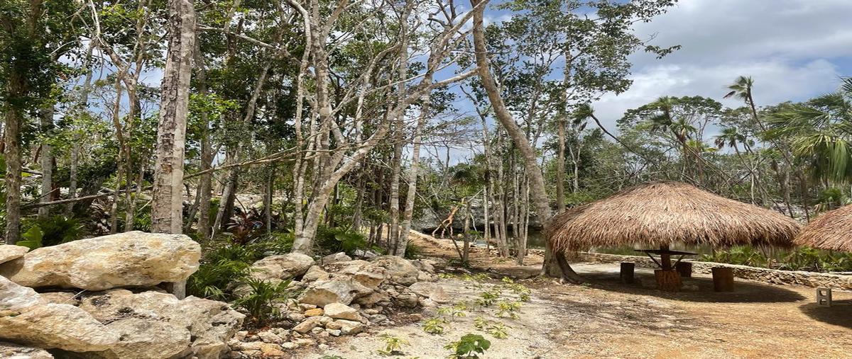 Foto de terreno habitacional en venta en  , aldea tulum, tulum, quintana roo, 27633433 No. 03