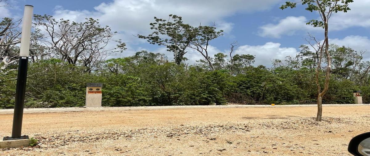Foto de terreno habitacional en venta en  , aldea tulum, tulum, quintana roo, 27633433 No. 05