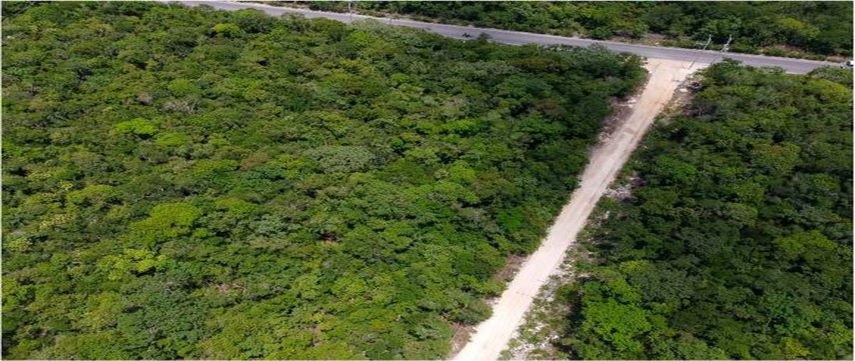 Foto de terreno habitacional en venta en  , aldea tulum, tulum, quintana roo, 27759670 No. 05