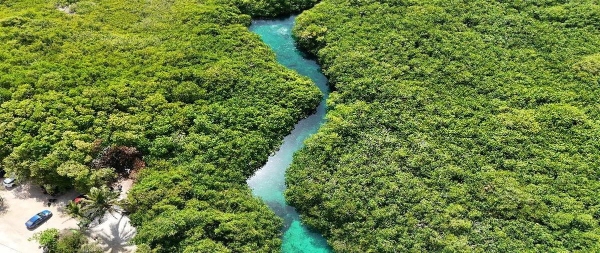 Foto de departamento en , aldea tulum, tulum, quintana roo, 27847890 foto 03 Foto de departamento en venta en , aldea tulum, tulum, quintana roo, 27847890 No. 03