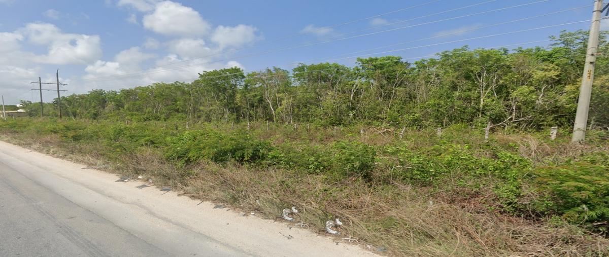 Foto de terreno habitacional en venta en  , aldea tulum, tulum, quintana roo, 28027821 No. 04