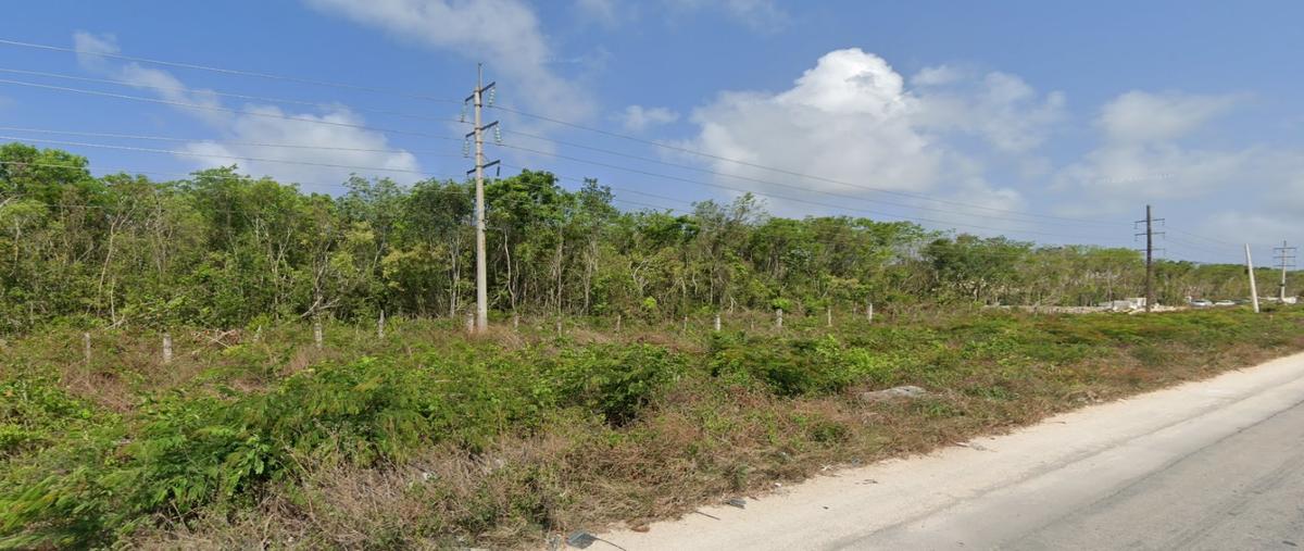 Foto de terreno habitacional en venta en  , aldea tulum, tulum, quintana roo, 28027821 No. 05