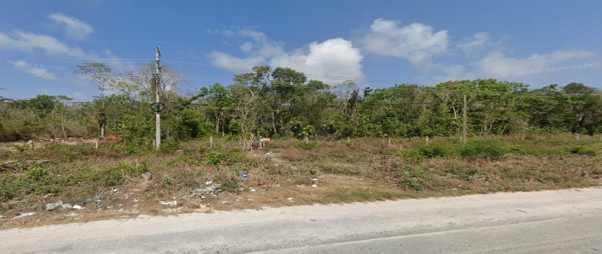 Foto de terreno habitacional en venta en  , aldea tulum, tulum, quintana roo, 28036232 No. 04