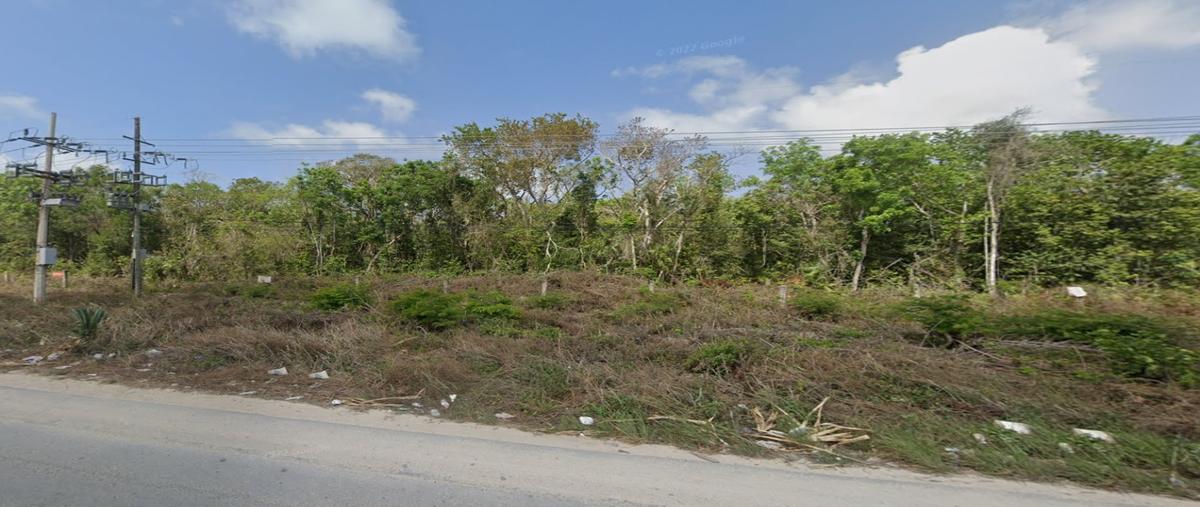 Foto de terreno habitacional en venta en  , aldea tulum, tulum, quintana roo, 28036232 No. 05