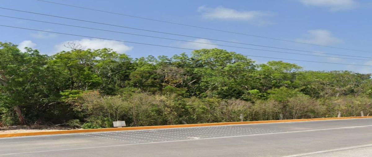 Foto de terreno habitacional en venta en  , aldea tulum, tulum, quintana roo, 28036240 No. 05