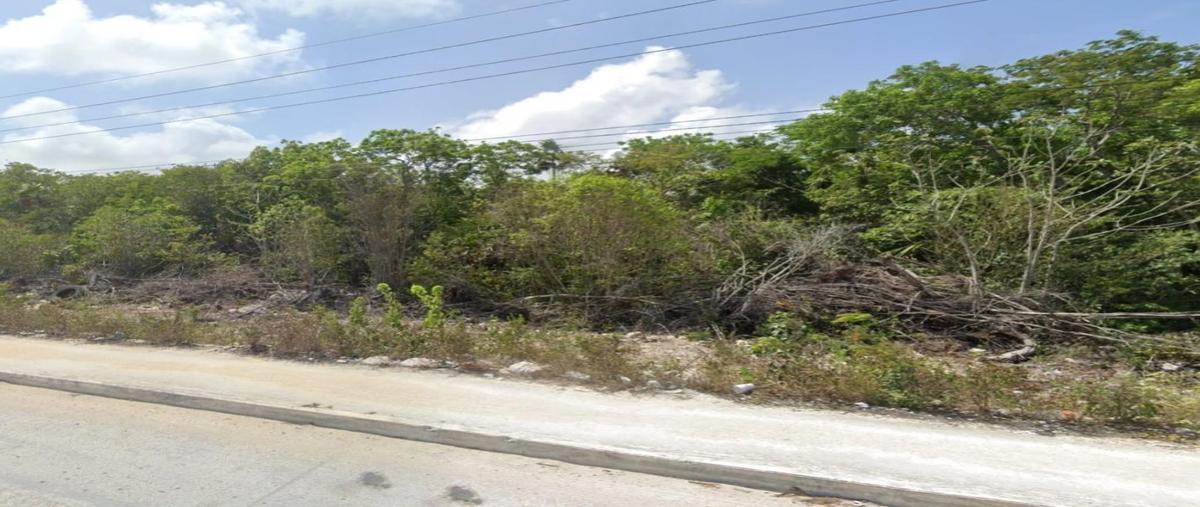 Foto de terreno habitacional en venta en  , aldea tulum, tulum, quintana roo, 28048398 No. 05