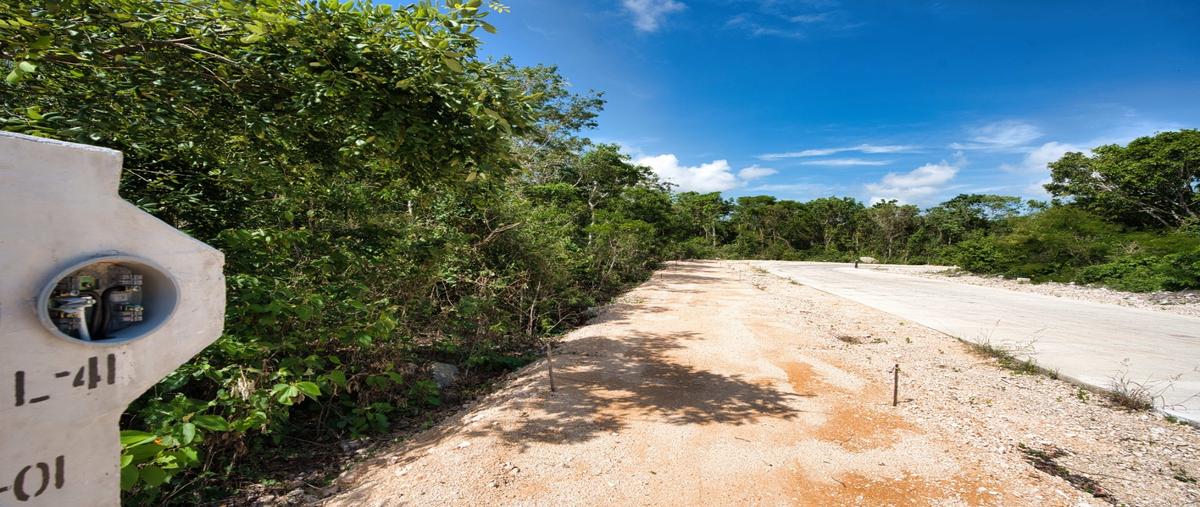 Foto de terreno habitacional en , aldea tulum, tulum, quintana roo, 28407044 foto 02 Foto de terreno habitacional en venta en , aldea tulum, tulum, quintana roo, 28407044 No. 02