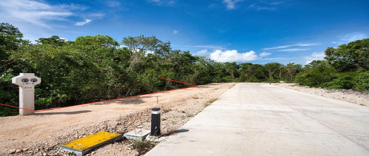 Foto de terreno habitacional en , aldea tulum, tulum, quintana roo, 28407044 foto 04 Foto de terreno habitacional en venta en , aldea tulum, tulum, quintana roo, 28407044 No. 04
