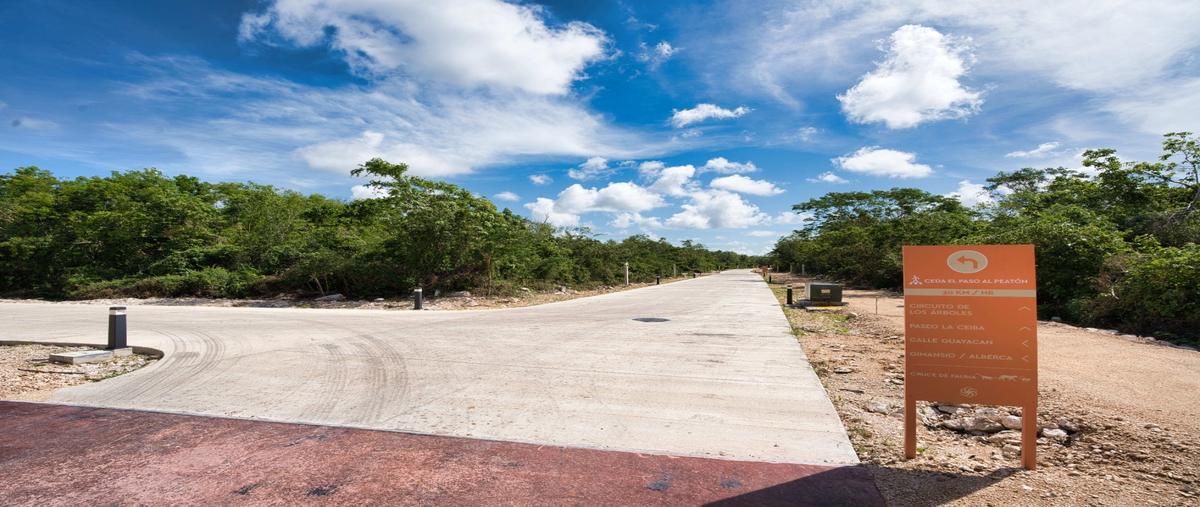 Foto de terreno habitacional en , aldea tulum, tulum, quintana roo, 28407044 foto 05 Foto de terreno habitacional en venta en , aldea tulum, tulum, quintana roo, 28407044 No. 05