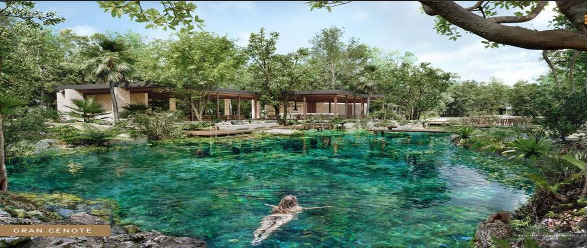 Foto de terreno habitacional en , aldea tulum, tulum, quintana roo, 28485079 foto 05 Foto de terreno habitacional en venta en , aldea tulum, tulum, quintana roo, 28485079 No. 05