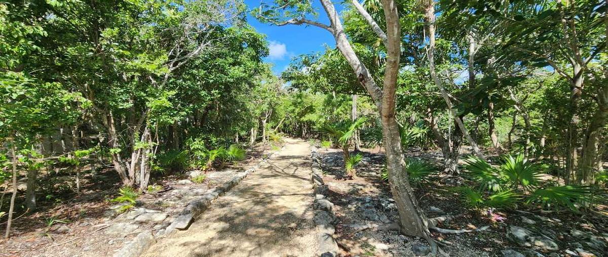 Foto de casa en venta en  , aldea tulum, tulum, quintana roo, 28620780 No. 03