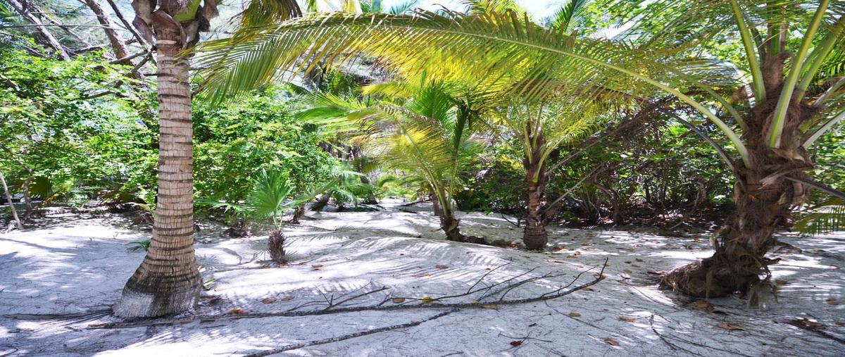 Foto de casa en venta en  , aldea tulum, tulum, quintana roo, 28771355 No. 04