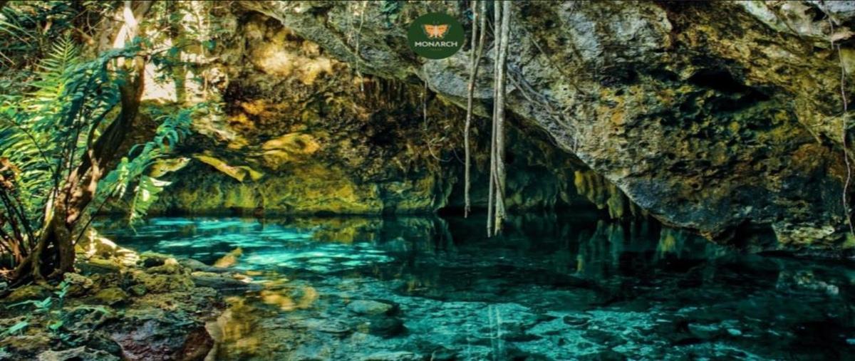 Foto de departamento en venta en  , aldea tulum, tulum, quintana roo, 28771389 No. 03