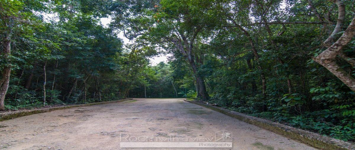 Foto de terreno habitacional en venta en  , aldea tulum, tulum, quintana roo, 28784696 No. 04