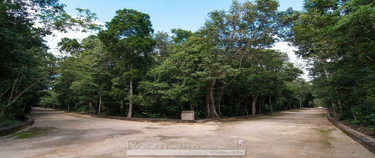 Foto de terreno habitacional en venta en  , aldea tulum, tulum, quintana roo, 28784696 No. 05