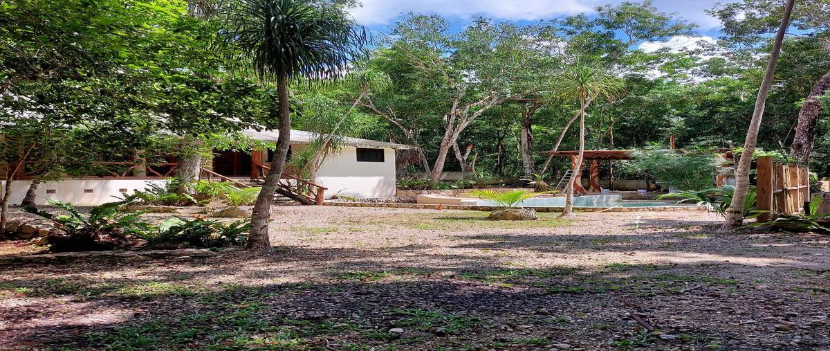 Foto de terreno habitacional en , aldea tulum, tulum, quintana roo, 28834697 foto 02 Foto de terreno habitacional en venta en , aldea tulum, tulum, quintana roo, 28834697 No. 02