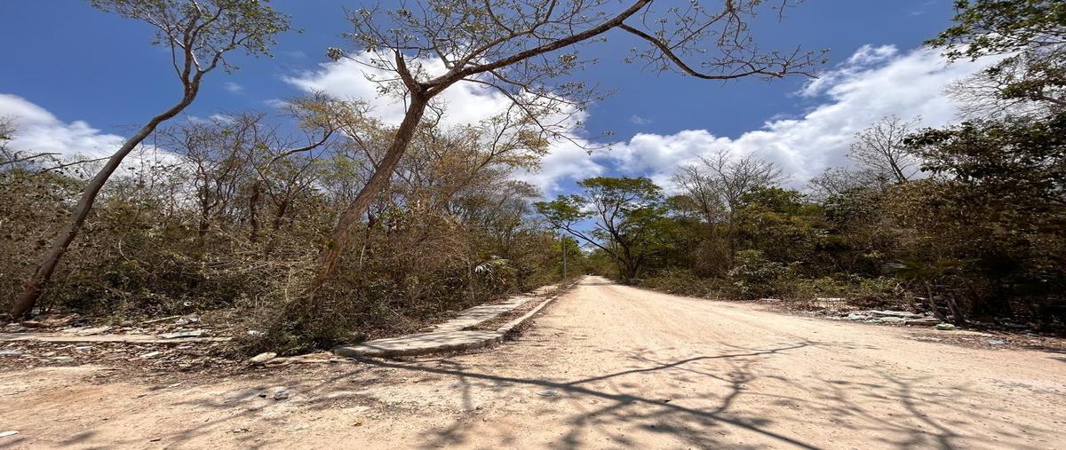 Foto de terreno habitacional en venta en  , aldea tulum, tulum, quintana roo, 28905191 No. 04