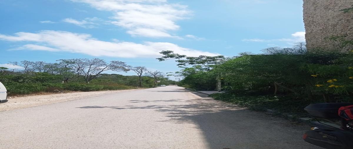Foto de terreno habitacional en venta en  , aldea tulum, tulum, quintana roo, 28905203 No. 05